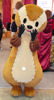 Nodame in Mongoose Costume from Nodame Cantabile